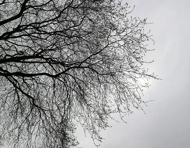 Bufes Hotell Istanbul