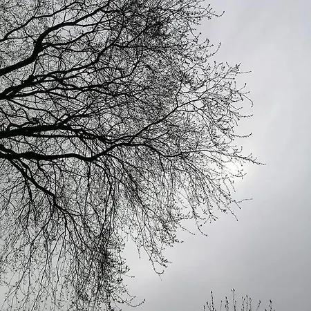 Bufes Hotel Stambuł